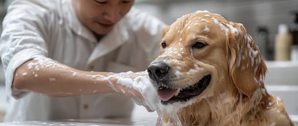 Relaxe Bath & Full Grooming