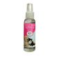 Tocco Finale Olio - 100 ml
